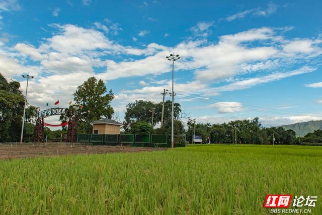 岁暖时刻丨寻访道县葫芦岩：我看见了历史与现实的并置