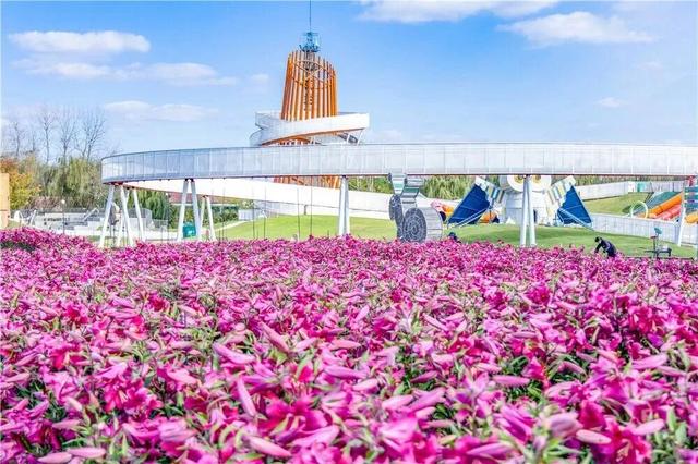 抓紧出发！错过就要等明年！