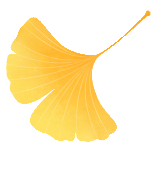 限时绝美！年度顶流！