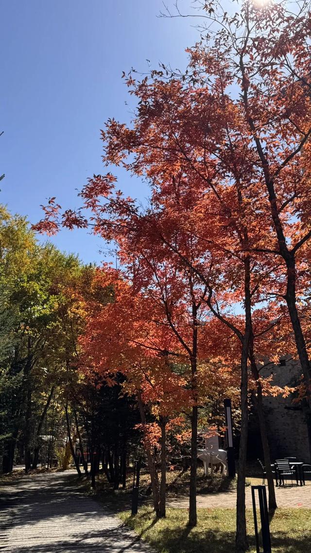 假期闲记（二）