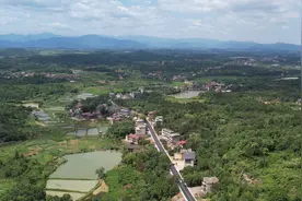 祁阳：修路为民显担当 真情致谢送锦旗图片