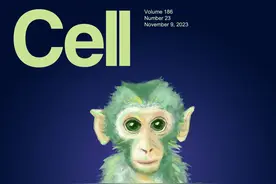 35岁再登《细胞》，培育出“中中”“华华”的他又创“世界首例”突破学界“不可能”图片