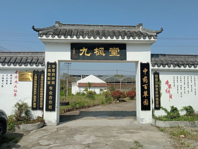 何须远行？亭林就藏着一条宝藏路线…