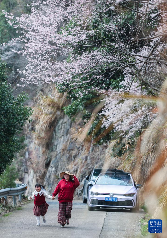美丽中国丨万亩山花迎春来 山乡美景助共富
