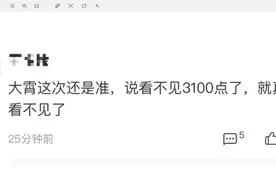 A股又到3000点：股民反向调侃“李大霄这次准”，有基金经理超乎寻常乐观，还有私募坚定加仓图片