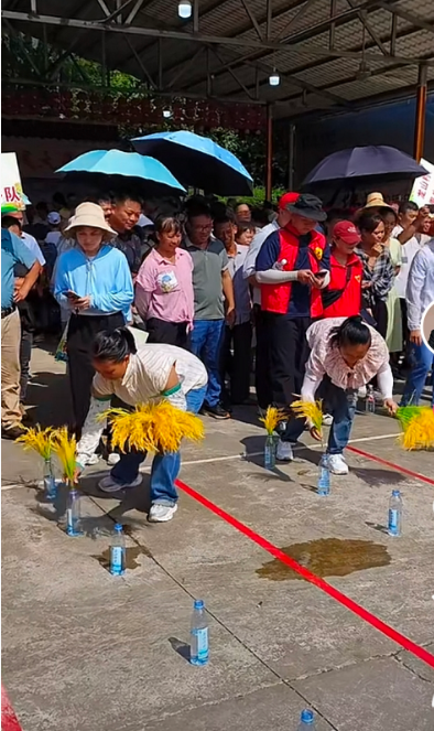 活动资讯 | 秋收“大作战”！越西邀您体验丰收的喜悦！