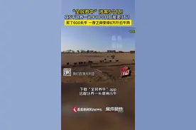 4个人骗了5个亿！起底“云养牛”骗局图片