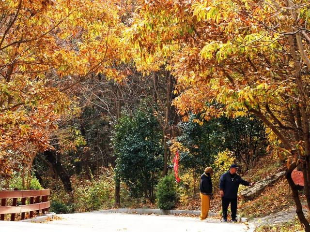 威海这个4A级旅游景区免费！登山看海+千年祈福，初冬盛景不辜负