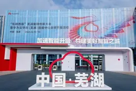 长三角算力更充沛！“东数西算”芜湖集群上线，与南京2毫秒时延图片
