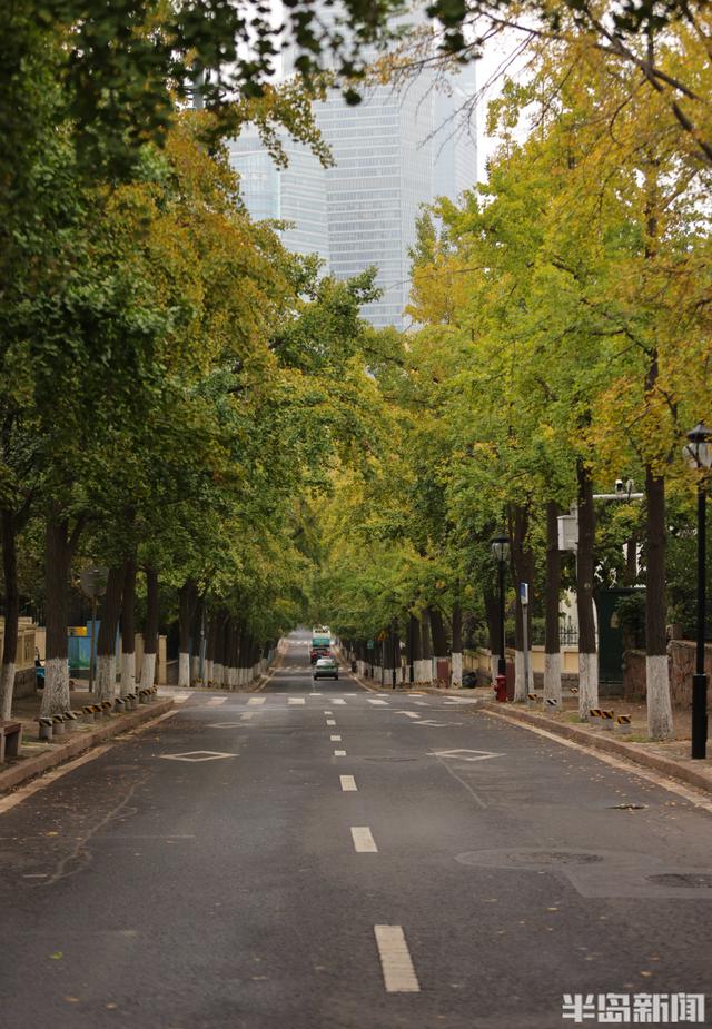 网红路，藏不住的秋意
