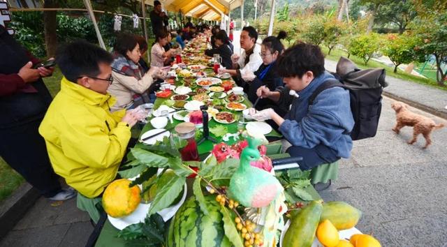 有一种叫云南的生活之365天丨“咖啡+旅居”，梦想照进现实