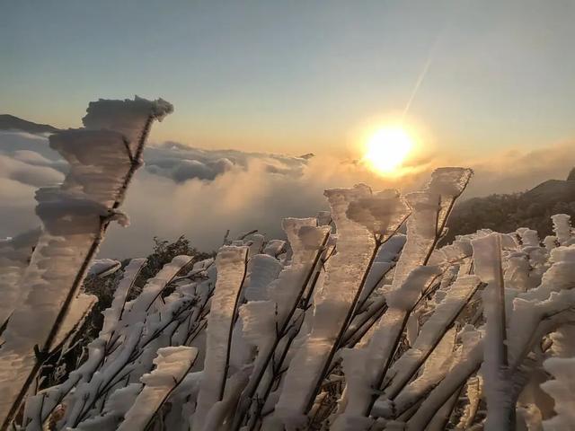 多地下雪！广西限定版“冰雪世界”已上线