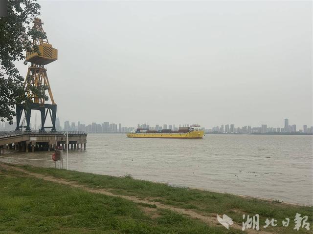 我的长江我的家｜来青山江滩公园拍照、露营