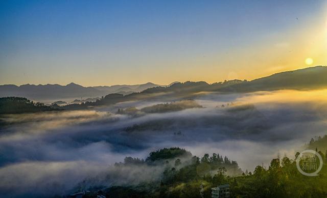 晨雾枫叶红 日出田园美