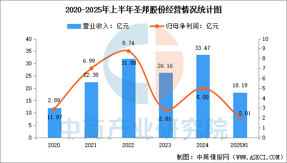 2025年中国电源管理芯片行业市场前景预测研究报告