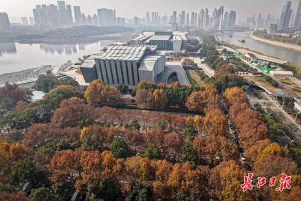 月湖公园层林尽染