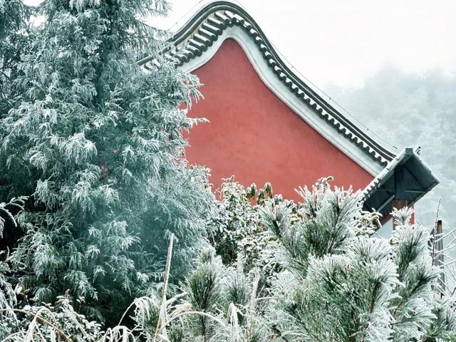 羊狮慕雪国仙境已上线｜大雪持续中，快来福山赏雪！