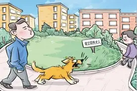 【法治鹤岗 巾帼维权】违规养大型犬有人报警有人投毒，社区养犬纠纷不断到底怎么解？图片