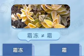 蓝色预警 兰溪这些地方有霜或霜冻图片