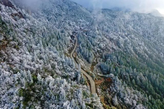 多图直击融水雾凇美景