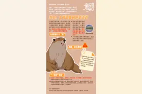 当心！学哪吒“收”土拨鼠？国家卫健委紧急提醒：不要碰图片