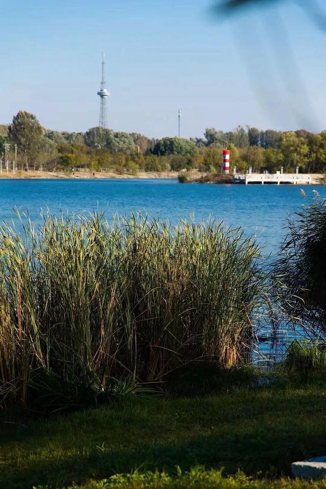 副中心的秋日画板已备好，等你来上色！