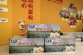 牛庄镇：“藕”遇丰收季，泥里“淘金”忙图片