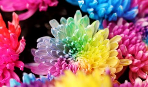 开封的反差感，太让人上头了！