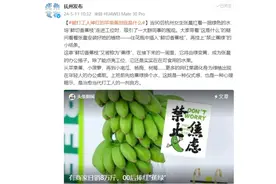 被打工人捧红的苹果蕉是什么：从“焦绿”到“焦黄”，意味着焦虑化散图片