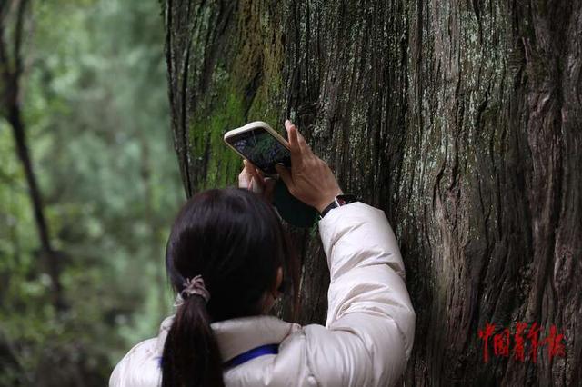 过别样记者节 四川邀记者探访古蜀道的生态密码