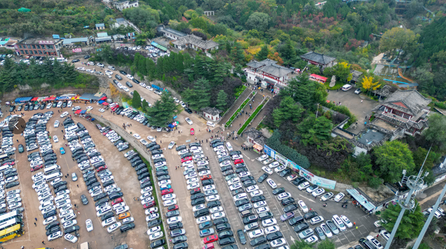 野餐、漂流、DIY！快来打卡红叶谷这份限时秋日浪漫