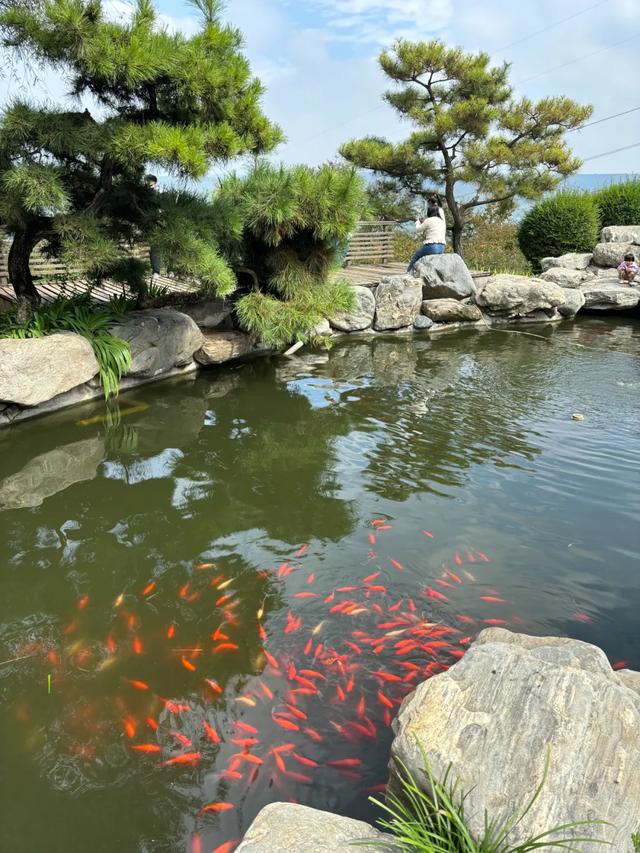 顶级美学！西安这4个园林，美到失语！