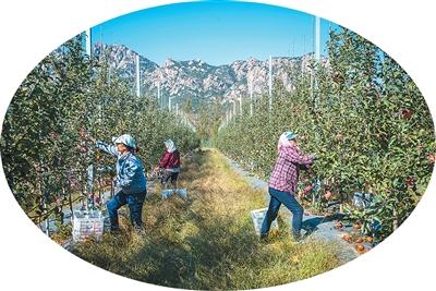 “国光”照亮五莲山（行天下）