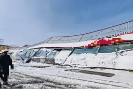 暴雪过后 山东青州花卉市场商户积极开展自救图片