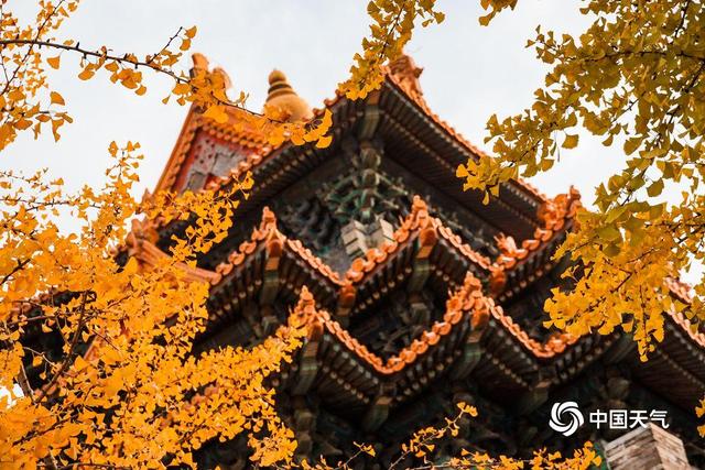 故宫里的春夏秋冬：时光沉淀间 四时皆盛景
