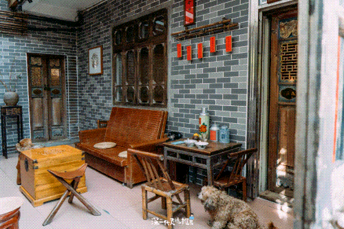 三大世界冠军助阵！直击2025梧桐山登高赛！