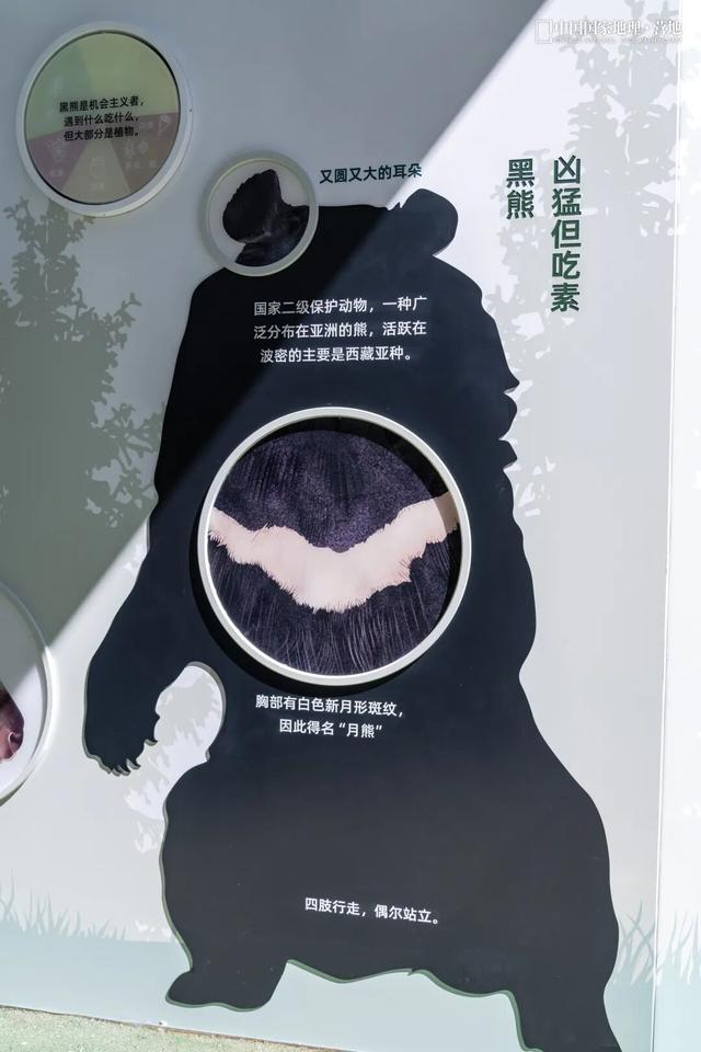 波密零碳自然驿站矩阵落成