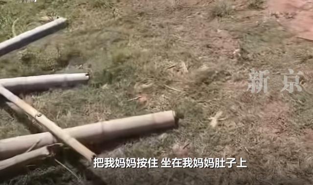 “74岁老太杀害73岁老太并藏尸”案今日开庭，被害人女儿：因柴火归属起争执，当地：案发后已介入处理