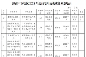 济南市辖区年度住宅用地供应分布来了，历城区、起步区供应排前二图片