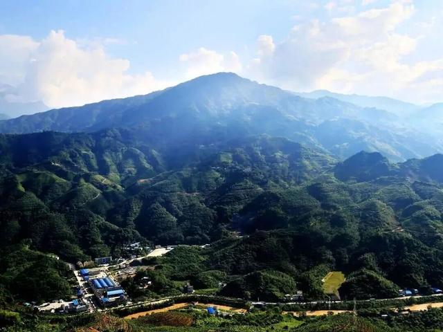 除了三七，文山还有这些“宝藏”……