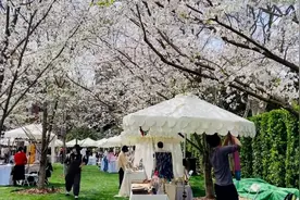 春日限定｜逛市集、看表演，地铁边的“樱花海”多了新玩法视频封面