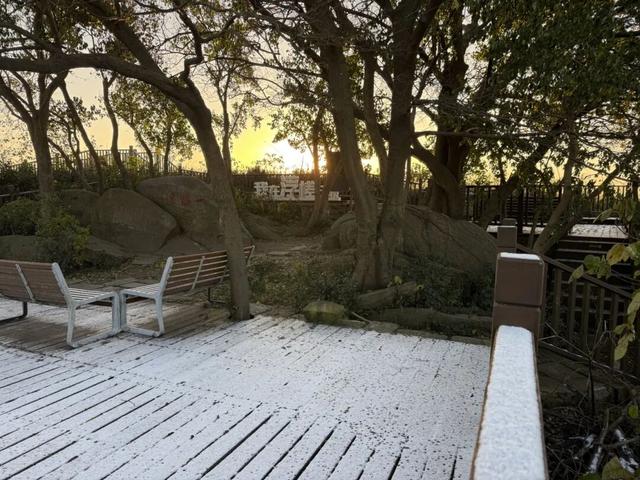 一场雪后，合肥太美了！