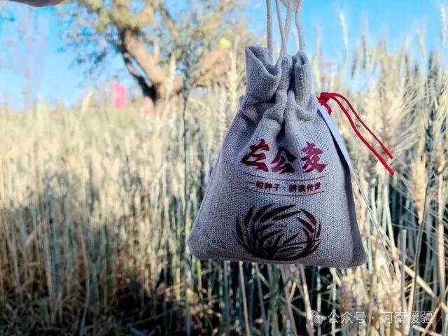 左公精神照天山：哈密如何让“收复新疆”的历史“活”在当下