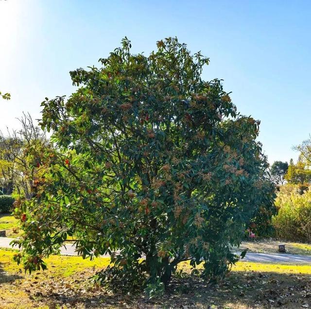 @高邮人 邀请您找寻心中的……