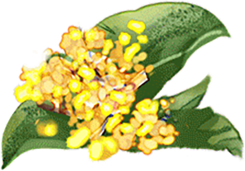 这个周末，让晴好天气治愈你！