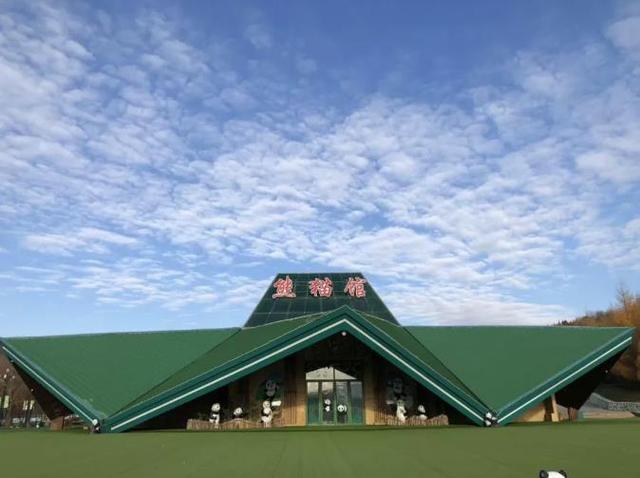 看电影《731》享城市漫游优惠