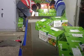 1—4月乌鲁木齐出口航空邮件量同比增长逾三成图片