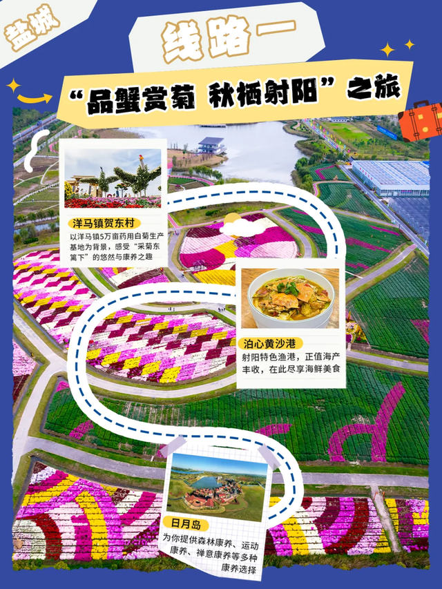 赶海、赏菊、品蟹……这10条乡村旅游线路玩出不一样的“秋”