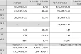 同花顺：2023年前三季度净利润7.71亿元 同比下降12.67%图片