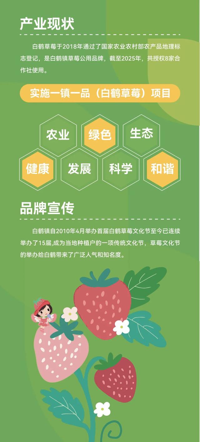 甜蜜上线！白鹤草莓购买攻略看这里→